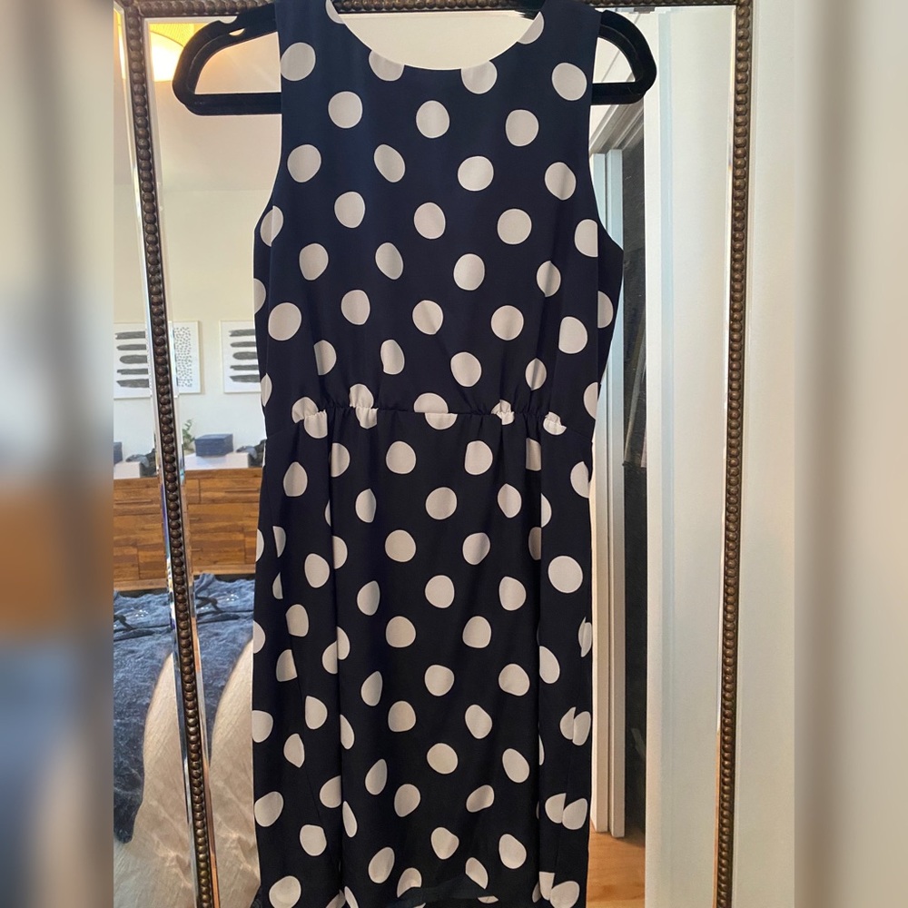 J Crew Blue and White Dress